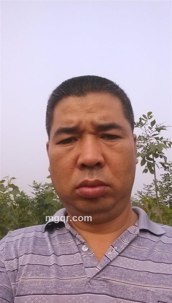 心随风动的头像