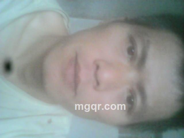 梅花三弄的头像