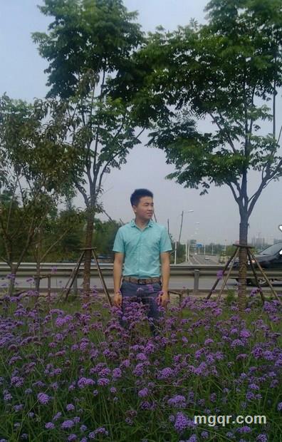 失落的殿堂的头像