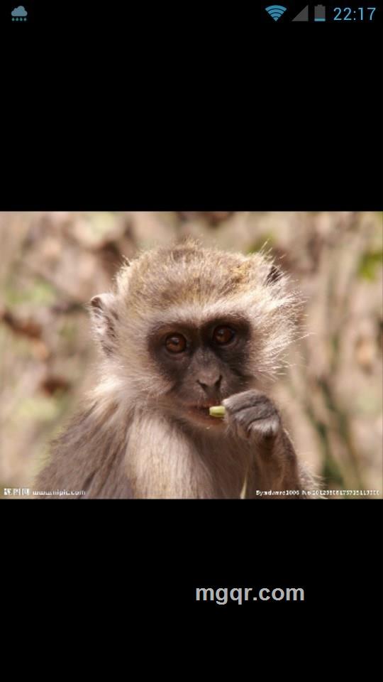 会员2965335的头像