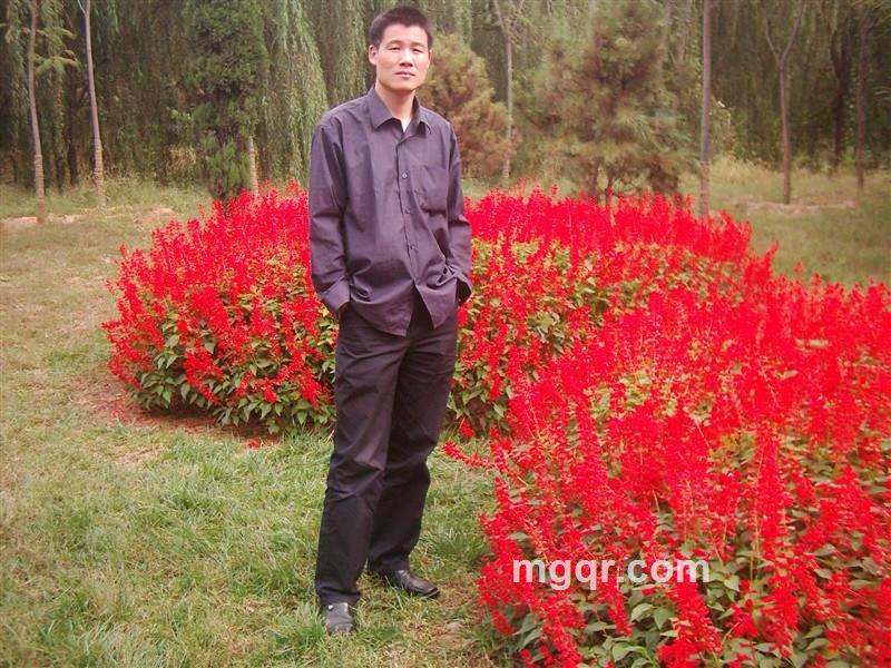 浪在孤独的头像