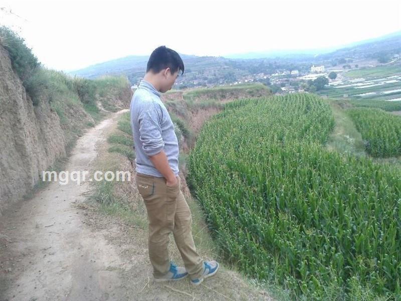 爱情在那的头像