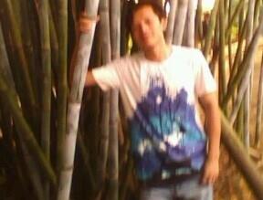 孤独小龟的头像