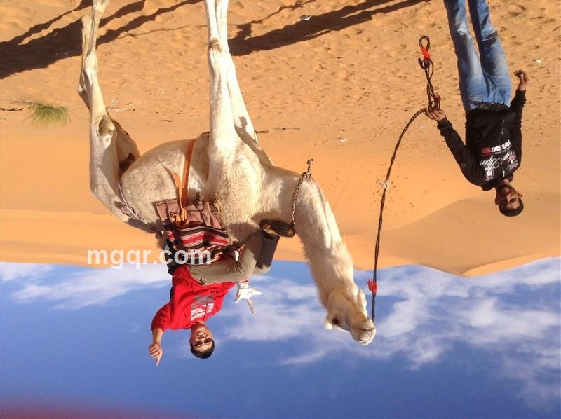 地中海的鱼的头像