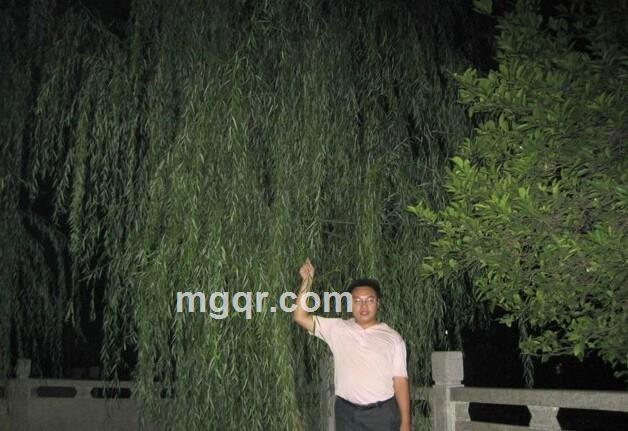 殇ぁ品尝的头像