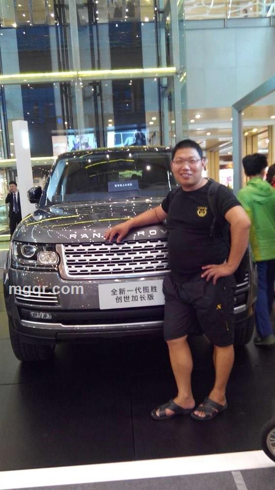 寂寞孤独的雄狮的头像