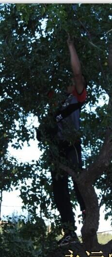 小五哥儿的头像