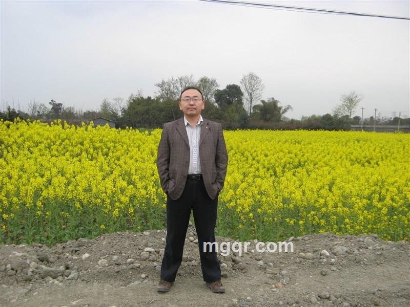 寂寞的忠哥的头像