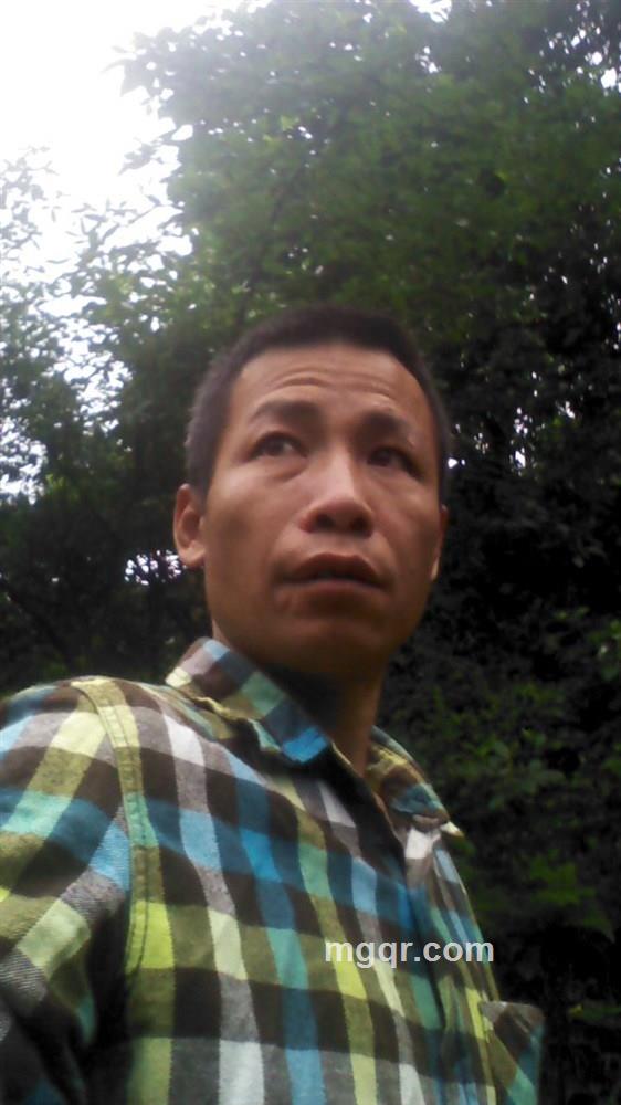 色即是空的头像