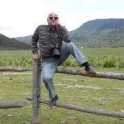 纵横经略的头像