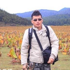 风的旅行的头像