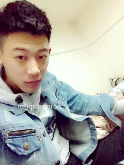 求爱的公牛的头像