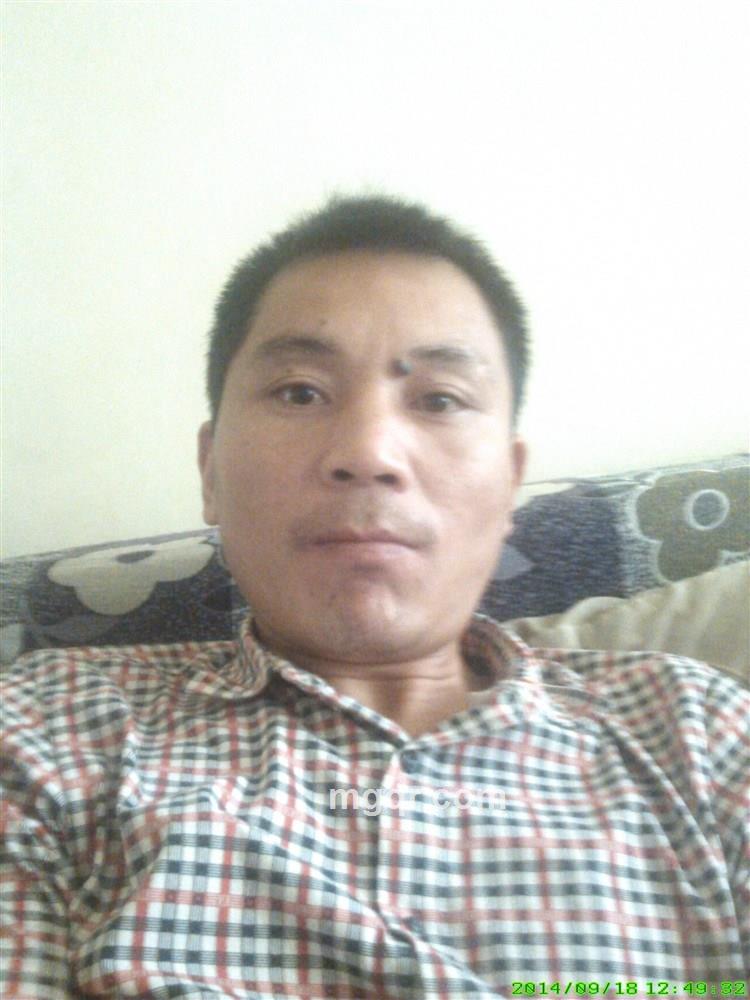 老虎也温柔的头像