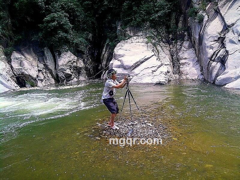 llongwangmaomao的头像