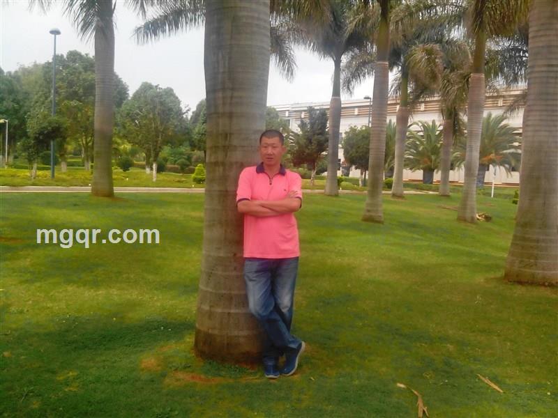 借一点温柔的头像