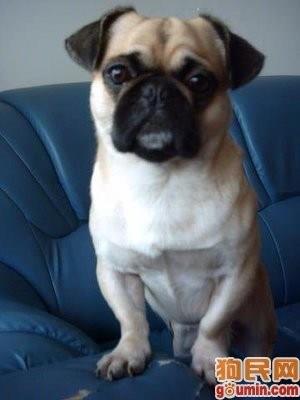 天天向上69的头像