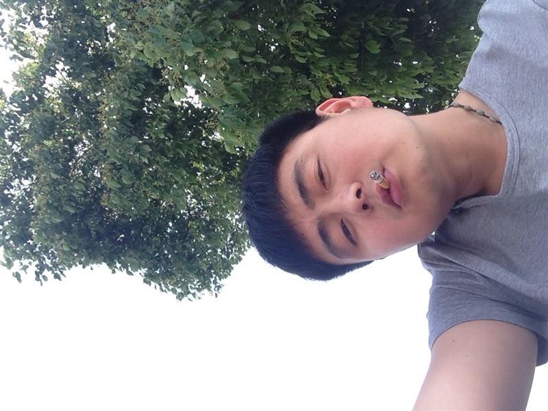 飞翔的狐狸的头像