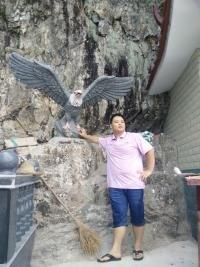 唯爱奋斗的头像