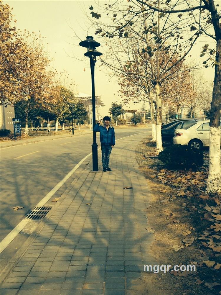 风云小妖的头像