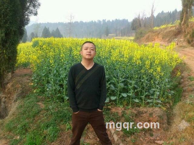 温柔的狼的头像