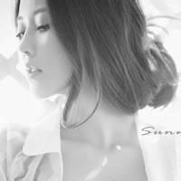 美丽陷井的头像