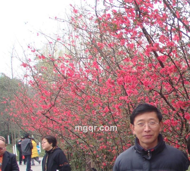 诚滋桃李的头像