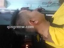 你来我就来了的头像