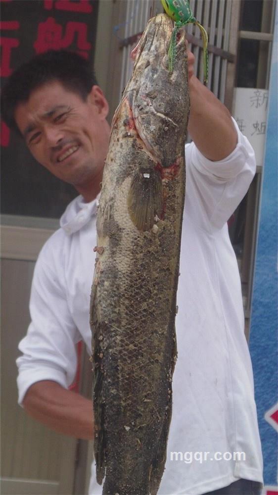 你到我家的头像