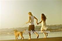 温暖的阳光-的头像