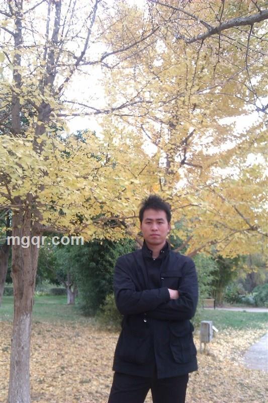 放飞青春的头像