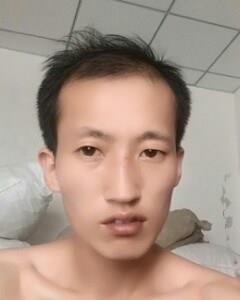 会飞的鸭子的头像