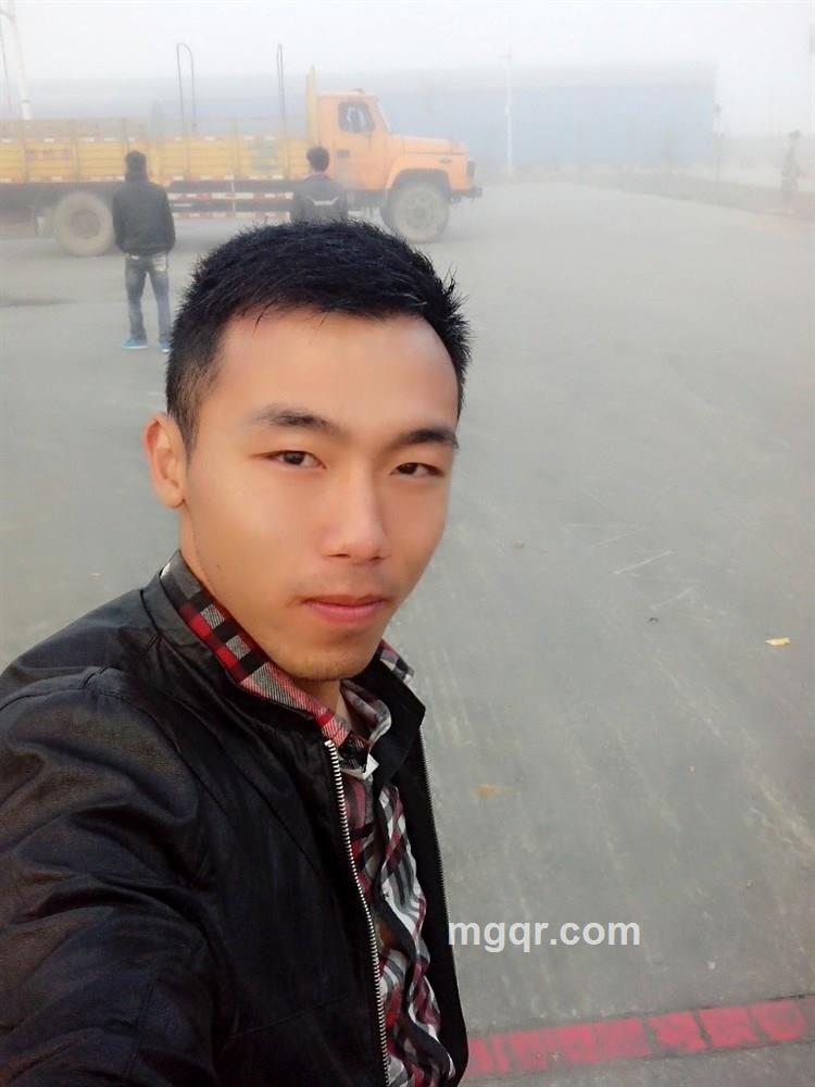 鸟枪一杆的头像