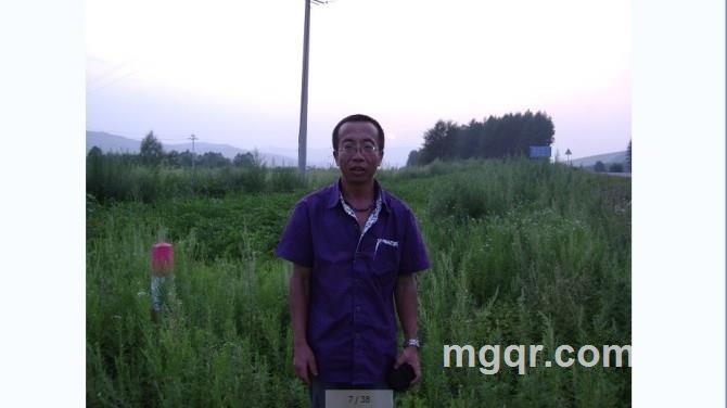 真心缘分的头像