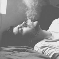 璀璨一夜的头像