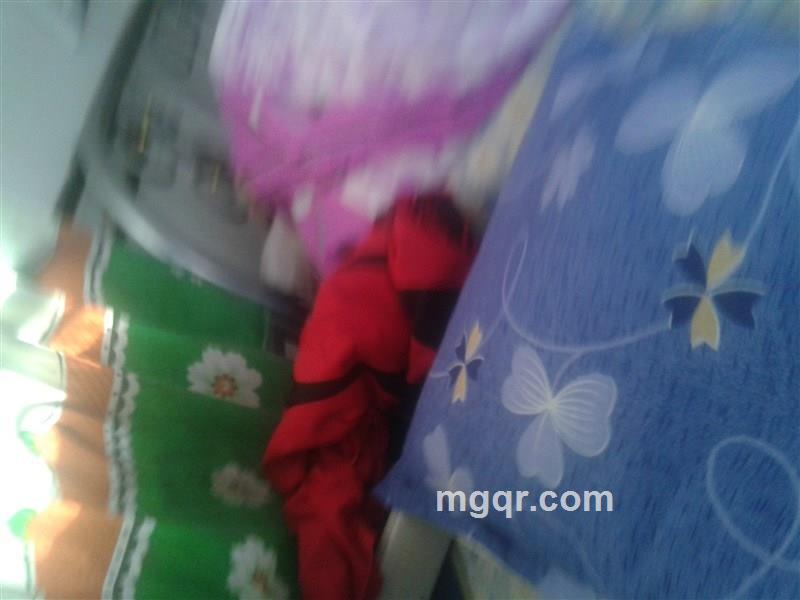 快乐亲亲的头像