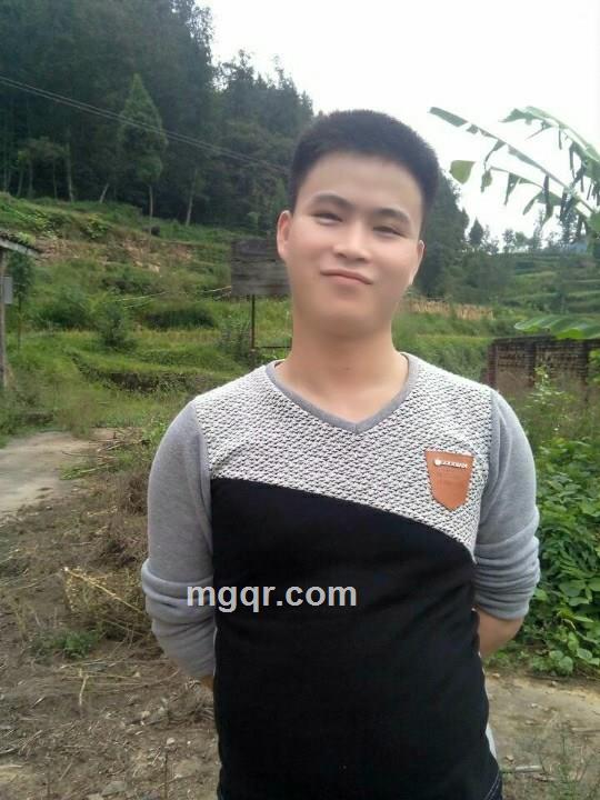 流浪的心的头像