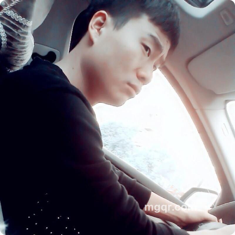 风吹鸟儿毛不动的头像