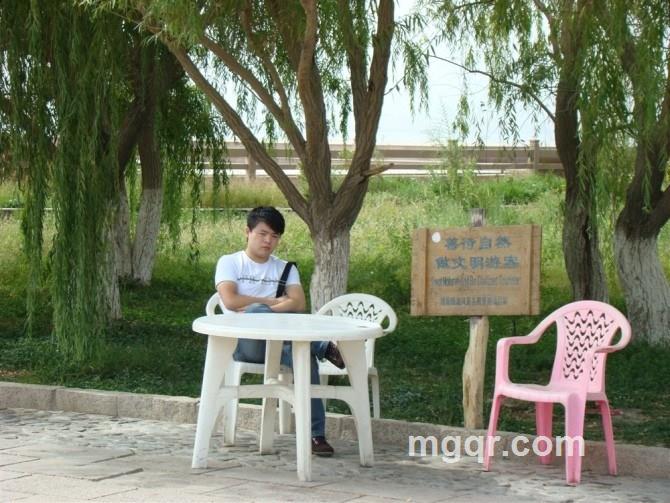 夜宴的猫的头像