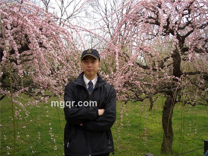 温暖的胸怀的头像