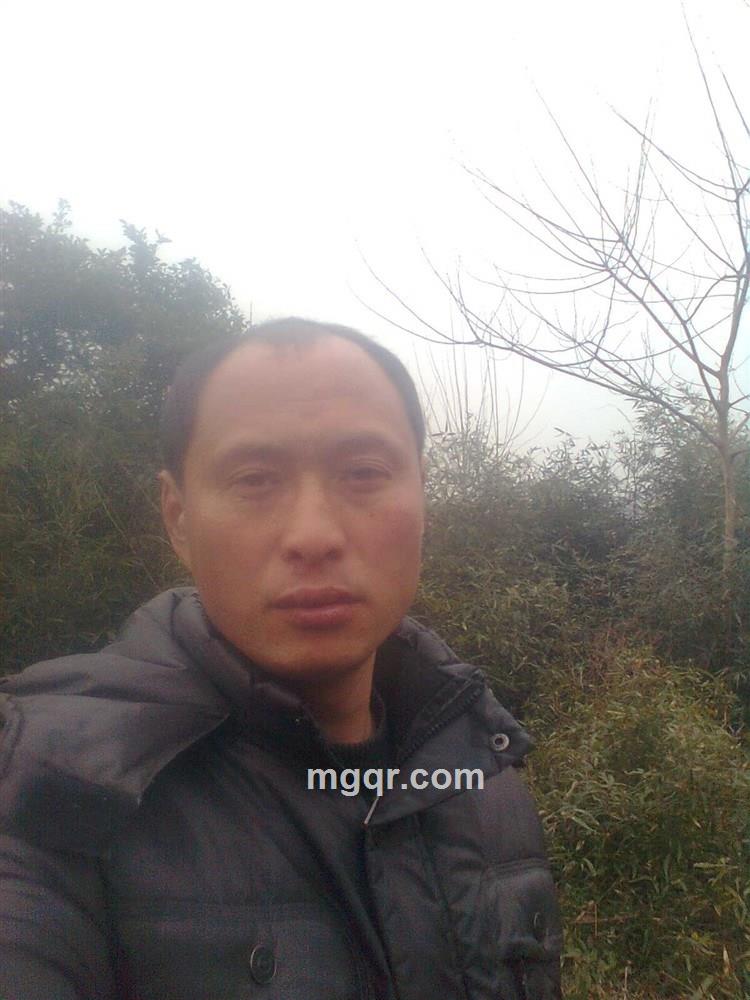 飞呀飞呀飞的头像
