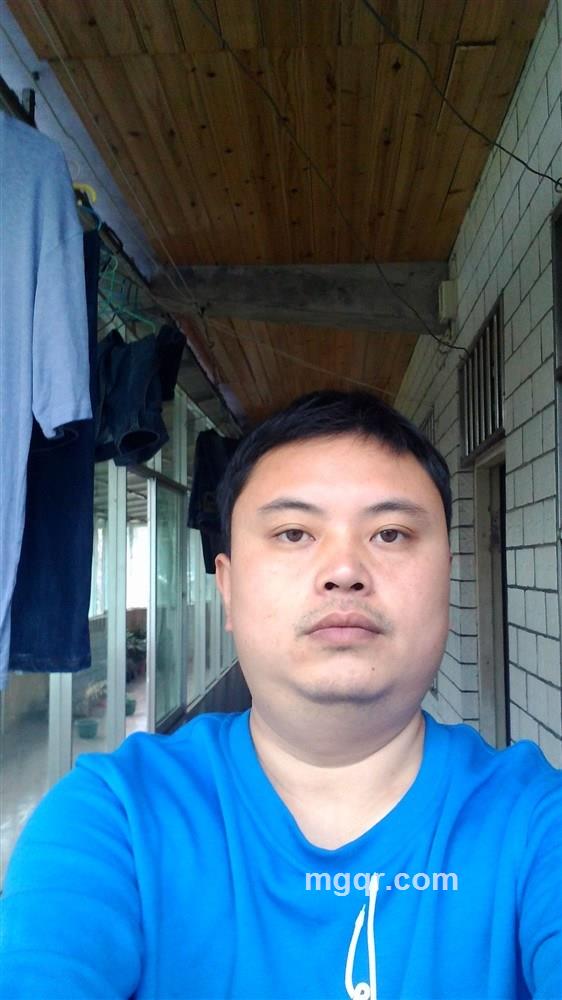 绿叶的头像