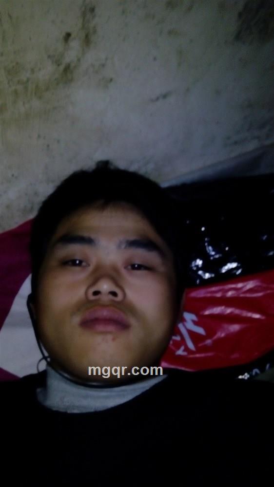 会员3133295的头像