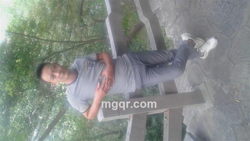 龙马精神的头像