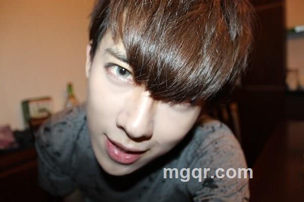 会飞的猪的头像