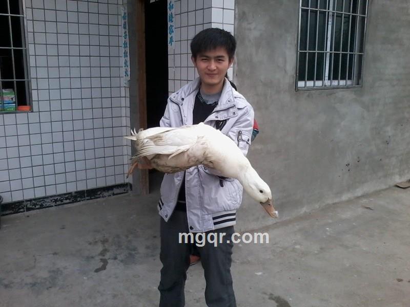 孤独的守护神的头像