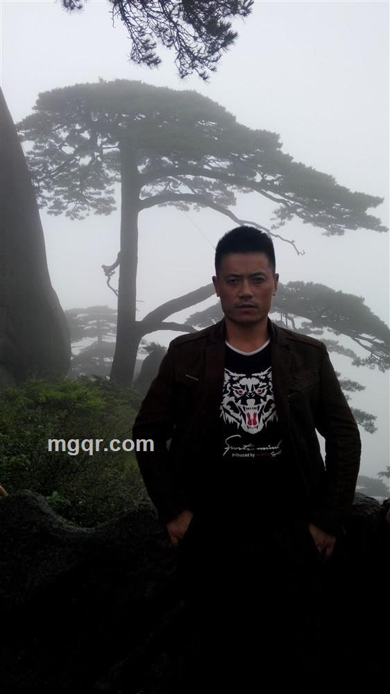 好快的流星的头像