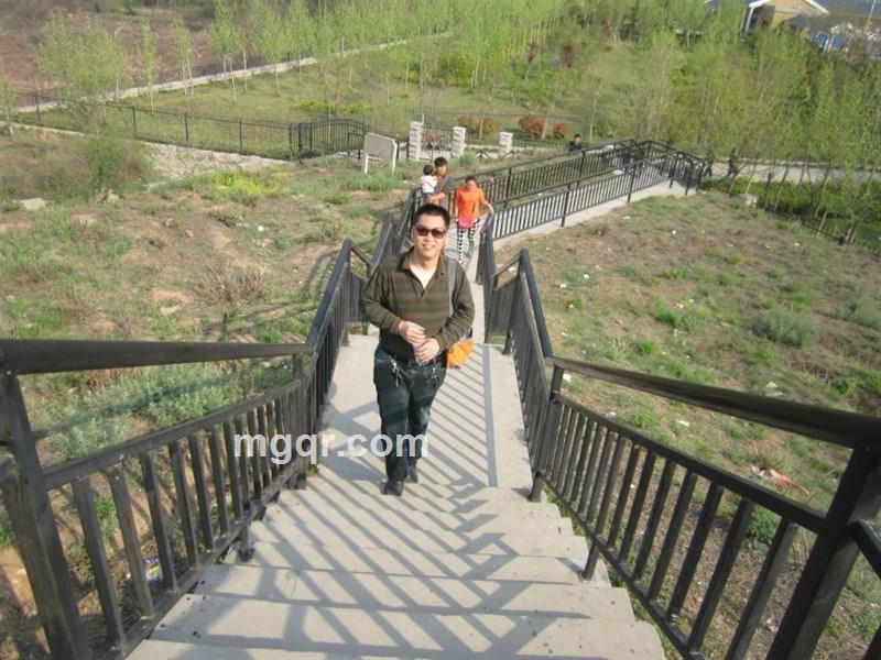 风在吹网络情缘的头像