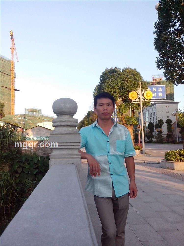 阳光下的竹笋的头像