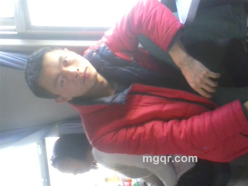 天若有情的头像