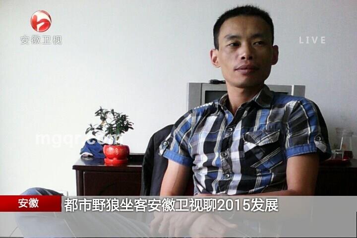 都市野狼的头像